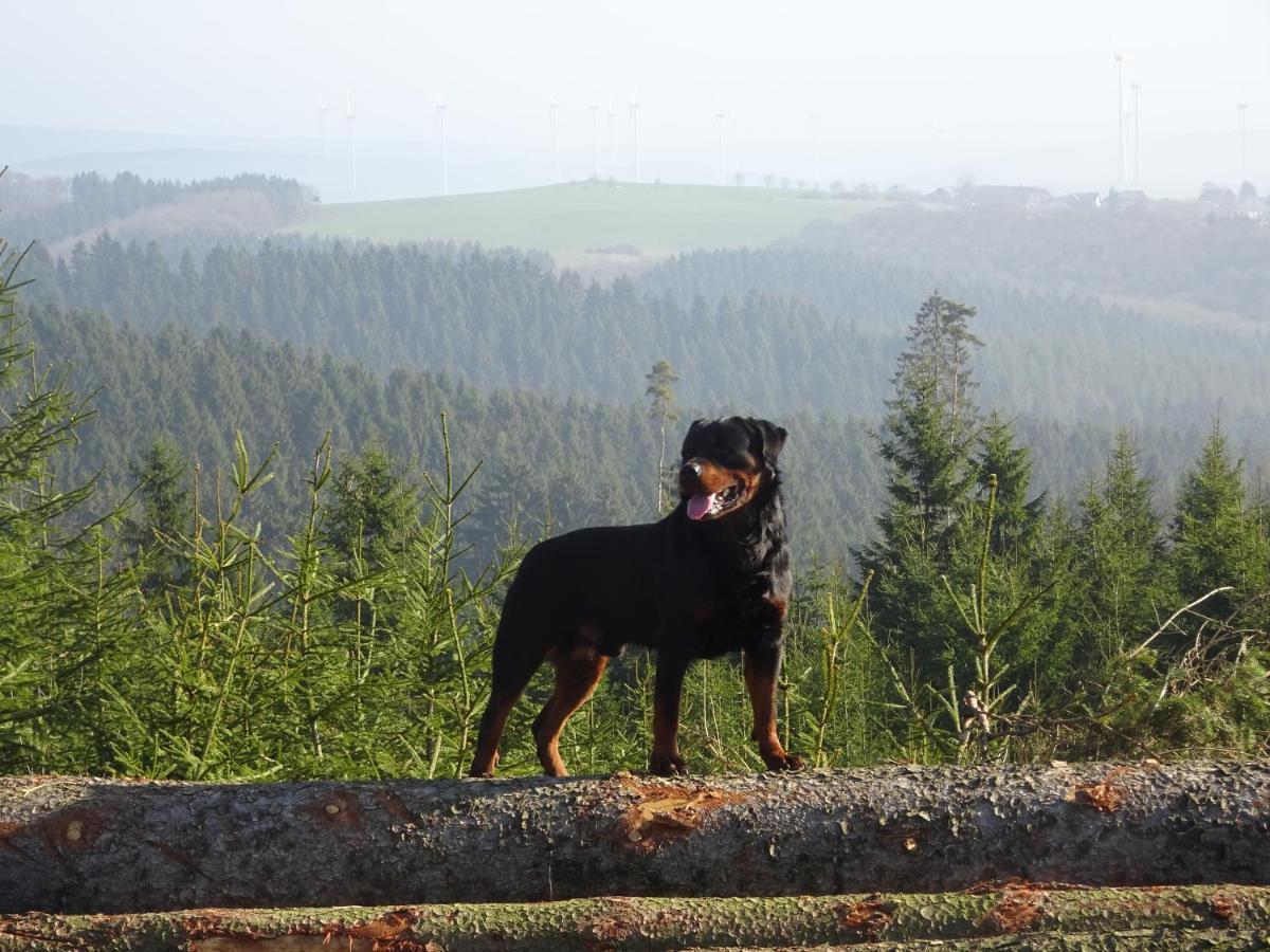 Appartement Urlaub Mit Hund Auf Dem Bauernhof Hofswald à Euscheid Extérieur photo